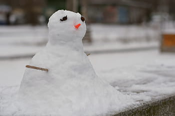 冬、 雪、 コールド、 氷、 霜、 自然、 喜び、 フローズン、 クリスマス、 鳥、 旅行