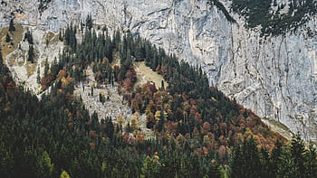 Grün, Orange, Laubbäume, Foto, Baum, nahe, Berg, tagsüber, Hochland, Bäume, Pflanzen