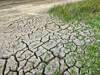 green grass, climate change, drought, climate, dry, environment, nature, warming, desert, disaster, land