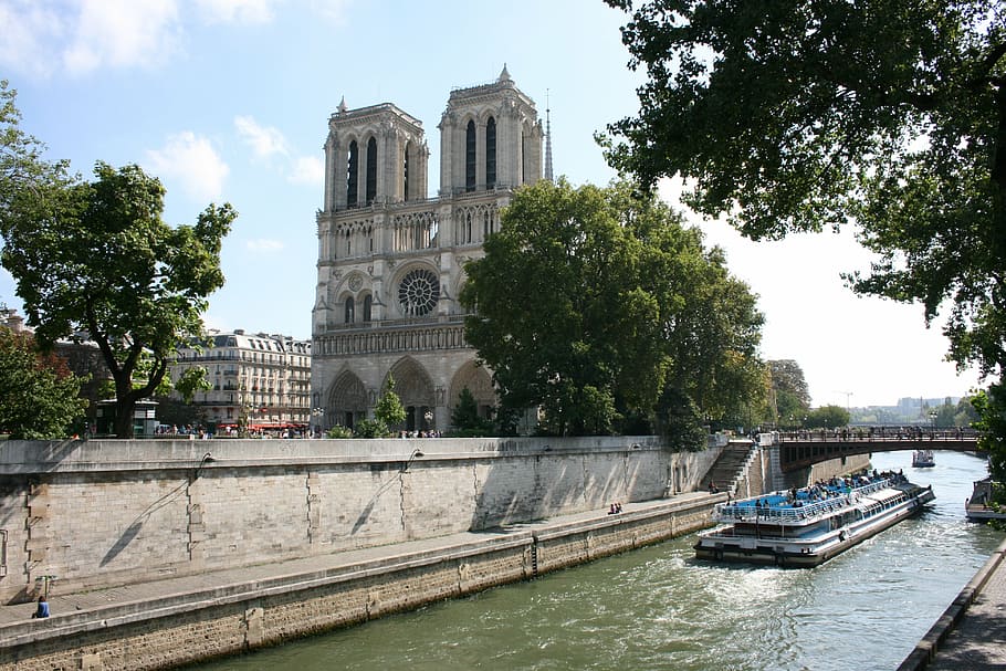 notre dame, paris, seine river, boat