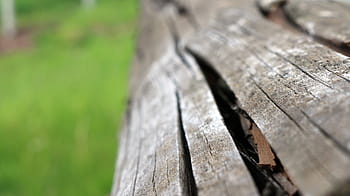 closeup, brown, wood log, close, view, wooden, log, wood, texture, bark, wood - material