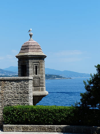 turret, stone, seagull, sit, spire, monaco, fort antoine, fortress, antoine, architecture, mountain