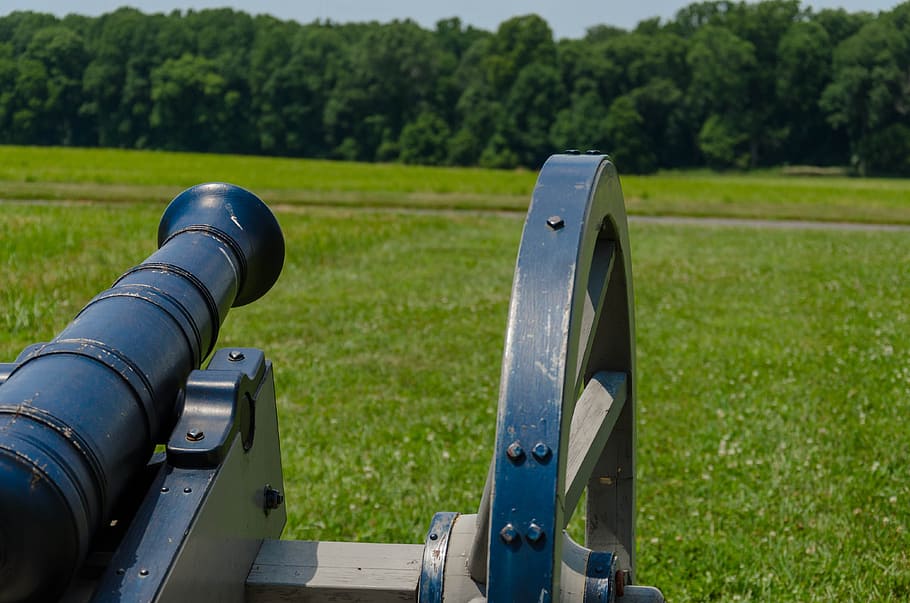 Revolution, Cannon, Brandywine, field, in a row, green color, grass, day