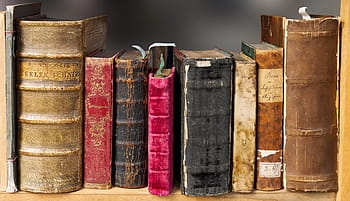 různé barvy, pokryté, knih, police, rezervovat, číst, starý, literatura, stránek, regál, staré knihy