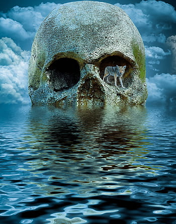 gray, beige, wolf, standing, left, eye socket, skull, body, water, digital, wallpaper