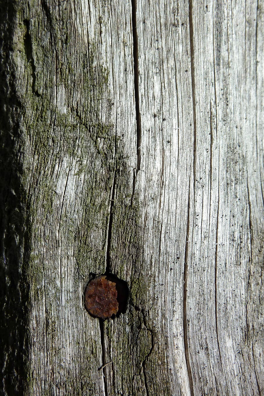 Wood, Ancient, Nail, Old, particular, used, fence, door, wood - material, textured, weathered