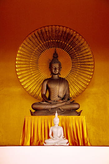 socha Buddhy, Buddha, zlato, rozjímání, buddhismus, Asie, zlatý buddha, Thajsko, transcendence, pozlacený, Myanmar