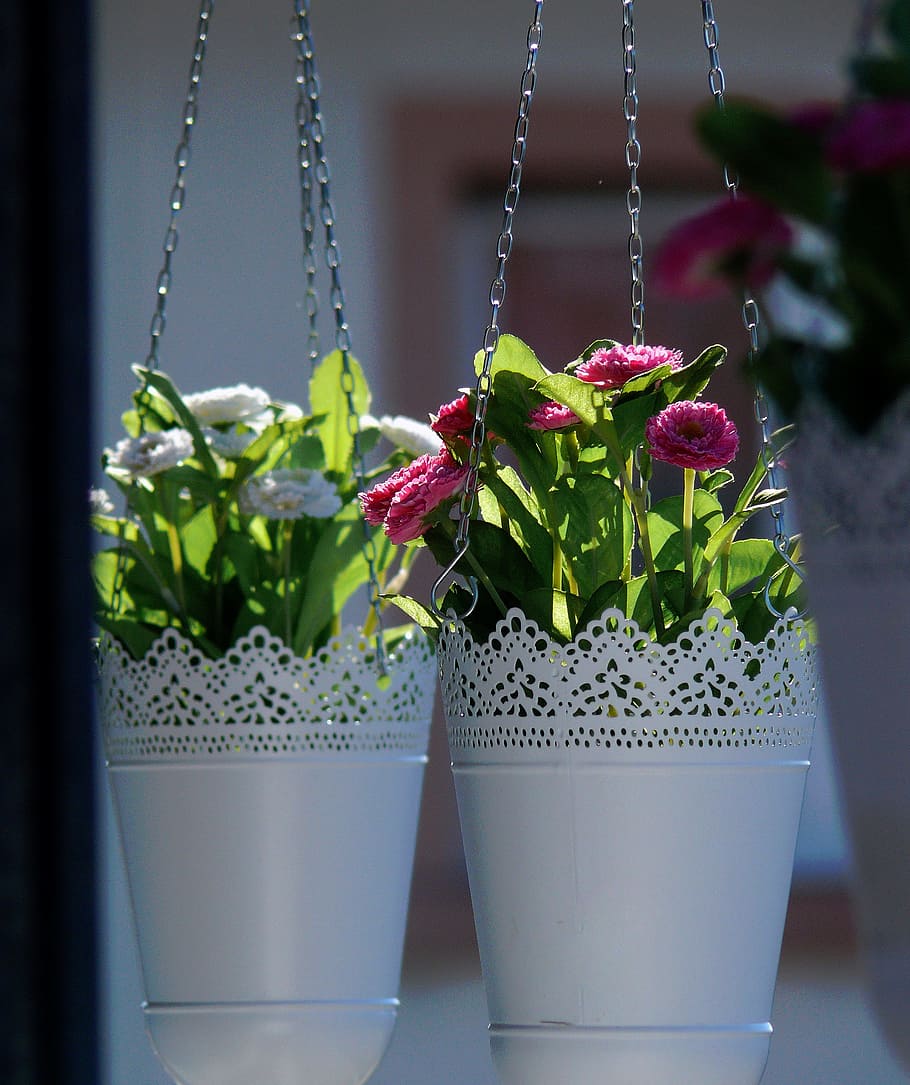 Floral, Flowers, Hanging Basket, planters, flowerpot, implantation, color, garden, home garden, plant, allotment