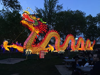 lighted sea dragon, chinese new year, chinese, dragon, festival, china, tradition, culture