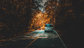 šedá, vozidlo, silnice, stromy, bílý, auto, cesta, rostlina, Příroda, les, cestovat