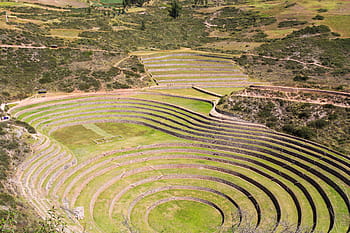 Muräne, inca, zugrunde richten, Labor, heiliges Tal, Peru, Geschichte