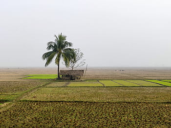 beautiful, bangladesh