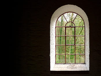 red, metal window grilles, trees, daytime, window, arch, arched, frame, outside, view, architecture