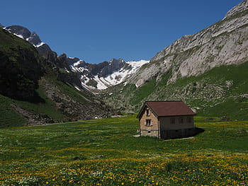 alpe, alm, meglisalp, säntis, bergdorf, domovů, alpské vesnice, appenzell, vnitřní, alpstein, destinace