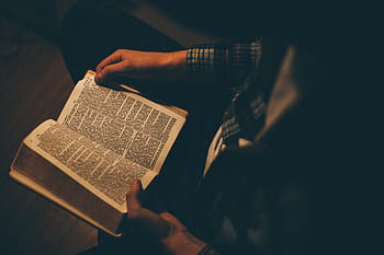 person reading bible, person, reading, book, inside, room, people, man, sitting, alone, holy