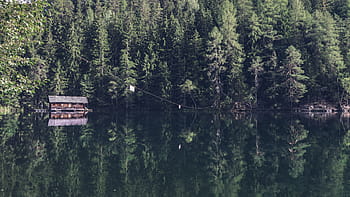 chata, tělo, voda, obklopen, stromy, krajina, fotografování, Dům, vedle, řeka, Příroda