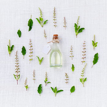 Průhledná, skleněná láhev na lektvar, aroma, bazalka, příprava, přírodní, koření, kuchyně, Lahodné, zelená, bílý