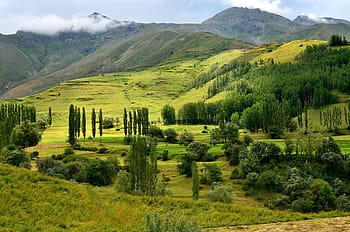 krocan, Příroda, krajina, kaçkars, přírodní krůta, příroda krajiny, nebe, tráva, hora, zelená, ispir
