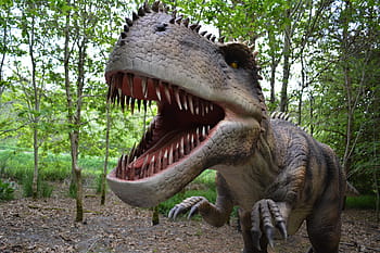 dinosaurus, dino, masožravých dinosaurů, dino-park, wedde, Nizozemí, Holandsko, zábavní park, pravěku, dravec, plaz