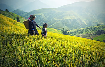 woman, girl, walking, rice field, agriculture, asia, back, black, cambodia, victory, kids