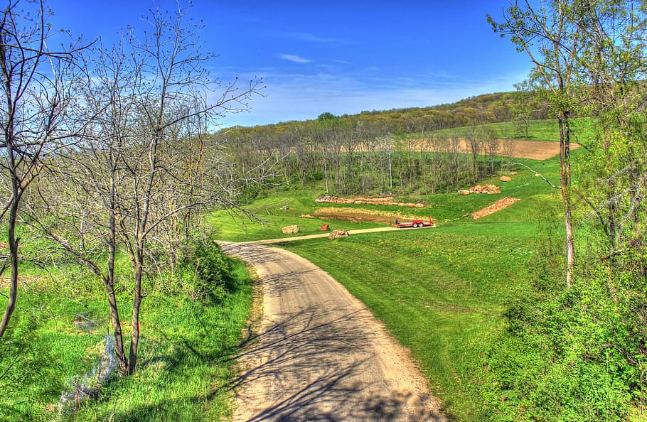 forest trail, military, ridge state trail, Forest, Pond, Military Ridge State Trail, Wisconsin, landscape, path, nature, tree