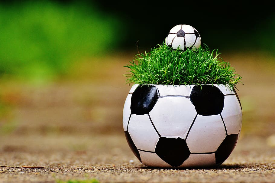 verde, pianta fogliare, bianca, nero, pallone da calcio, campionato europeo, calcio, 2016, erba, Francia, torneo