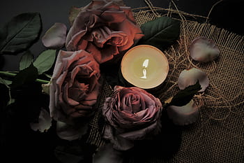 candle, the flame, light, sadness, to celebrate, color map, die, mood, death, burn, quiet