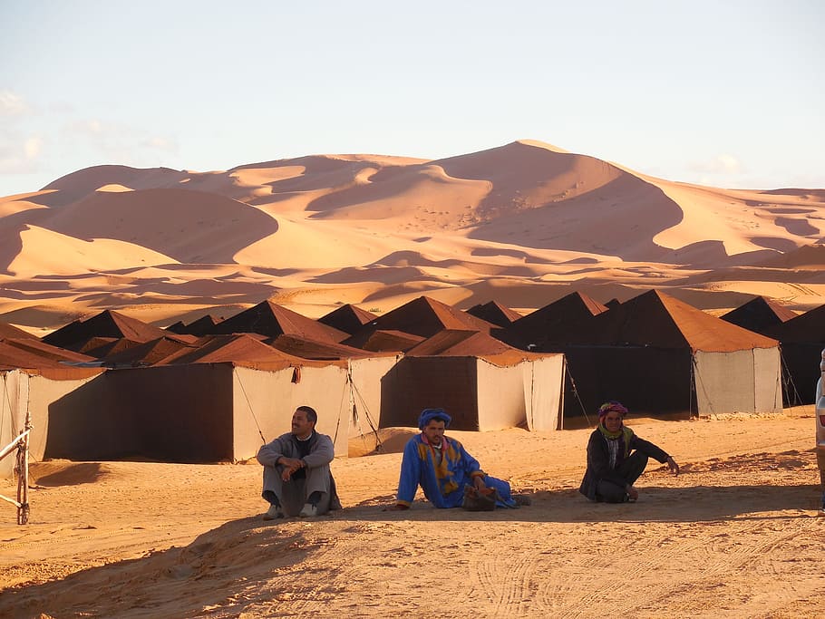 rabat, poušť, marocký, cestovat, sahara, krajina, písek, přírodní, velbloud, Příroda, slunečního světla
