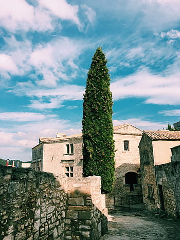 šedá, beton, Dům, za, zelená, strom, Příroda, architektura, struktura, cihly, zeď
