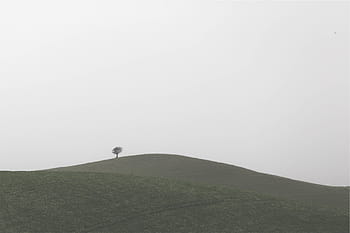 fotografie krajiny, hora, zelená, list, stromy, vedle, rozsahy, tráva, kopců, strom, Šedá