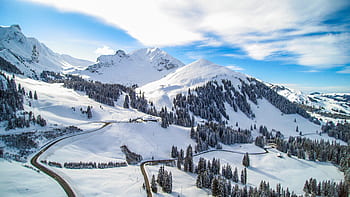 la neve, inverno, bianca, freddo, tempo metereologico, ghiaccio, alberi, piante, natura, nuvole, cielo