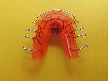 silver retainer, Dentist, Orthodontics, Dental, Rail, dental rail, seemed, dental braces, tooth, dental brace, close