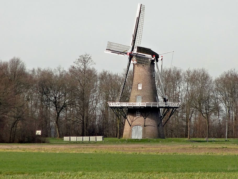 větrný mlýn, Nizozemí, budova, juffer, Napájení, křídla, energie, historický, síla větru, větrná turbína, ochrany životního prostředí