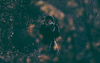 persone, uomo, boschi, foresta, telecamera, immagine, fotografia, tripode, servizio fotografico