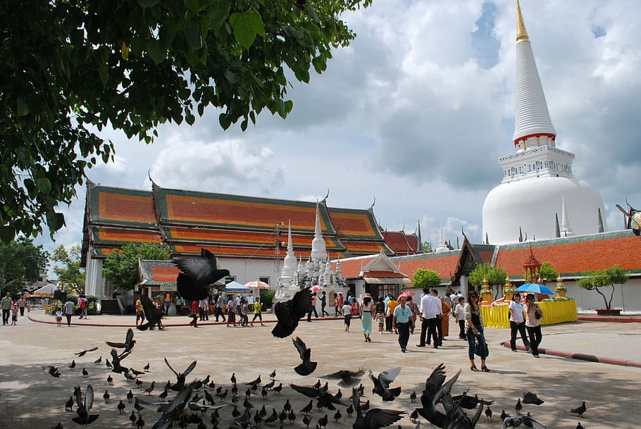 wat phra mahathat, thajský chrám, chrám, holuby, turistů, prázdniny, buddhismus, pagoda, Asie, Buddha, budování chrámu