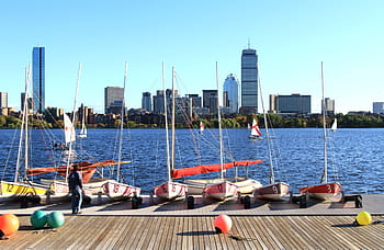 Fotografie, Boote in verschiedenen Farben, Vorderseite, Karosserie, Wasser, tagsüber, Boston, Innenstadt, Massachusetts, szenisch, Stadtbild