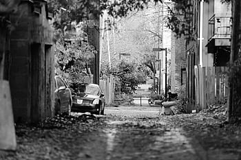 Gasse, Straße, Zäune, Wohnungen, Geländer, Balkone, Laternenpfähle, Beleuchtung, Blätter, Bäume, Autos