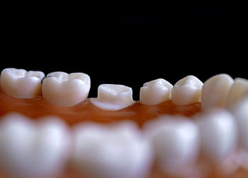 dentistry, tooth, hygiene, treatment, dentist, orthodontics