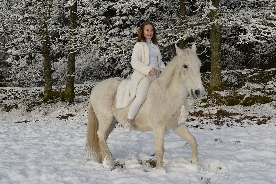 snow, beautiful, horse, riders, white