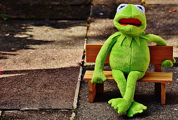 kermit, frog, bank, rest, sit, figure, funny, frogs, animal, plush, stuffed animal
