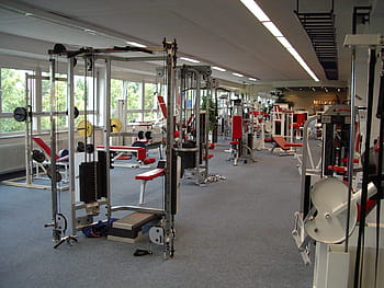 cvičení stroj, uvnitř, tělocvična, zdatnost, studio, výcvik, pokoj, místnost, posilovna, cvičení, činky, vejít se