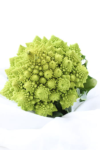 romanesco brokolice, bílý, povrch, rostlina, zelená, listy, květ, zahrada, zelená barva, jídlo a pití, studio shot