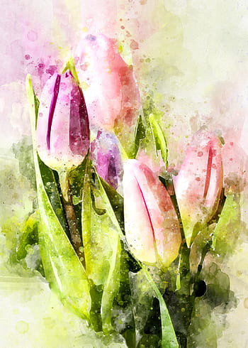 pittura di tulipani rosa, tulipani, fiori, mazzo di tulipani, viola, rosa, natura, pianta, primavera, naturale, floreale