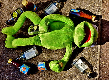 kermit, frog, beer bottle, drink, alcohol, drunk, rest, sit, figure, funny, frogs