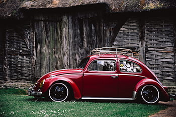 Červené, volkswagen brouk kupé, zaparkováno, zelená, tráva, vinobraní, auto, vozidlo, venkovní, krajina, staromódní