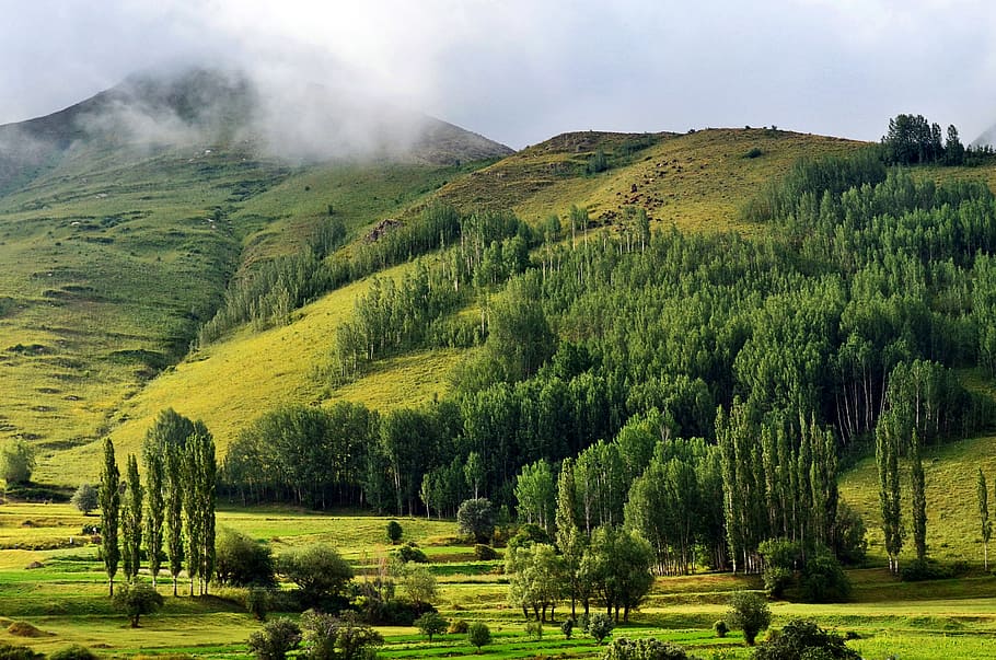 turkey, nature, landscape, kaçkars, natural turkey, landscapes nature, sky, grass, mountain, green, ispir