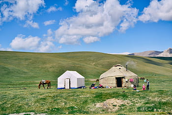white, gray, tent, daytime, nature, plains, mountains, hills, grasslands, horse, sky