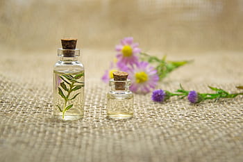 klar, glasflasker flasker, kosmetologi, olie kosmetiske, timian, blomster, vigtig olie, naturligt produkt, maceration, kemi, glas flaske