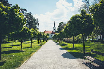 pathway, surrounded, green, leafed, trees, daytime, places, park, nature, grass, sky
