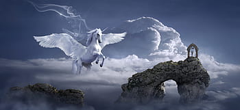 pegasus, mrak, muž, kopec ilustrace, fantazie, kůň, mraky, oblouk, skládání, mystický, nálada